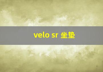 velo sr 坐垫